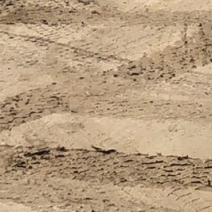 Meet your Posher, Kalie